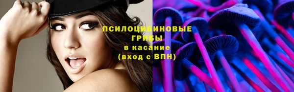 таблы Дмитровск