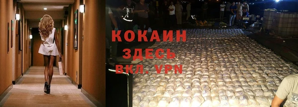 таблы Дмитриев