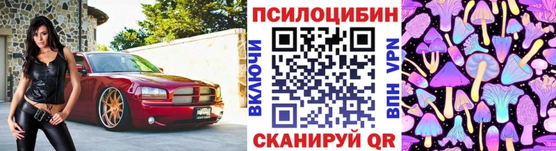 Галлюциногенные грибы Psilocybine cubensis  Камень-на-Оби 